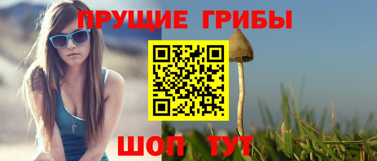 Псилоцибиновые грибы мухоморы Светлоград