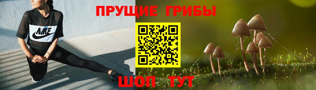 Светлоград  Галлюциногенные грибы MAGIC MUSHROOMS  Вход с VPN 